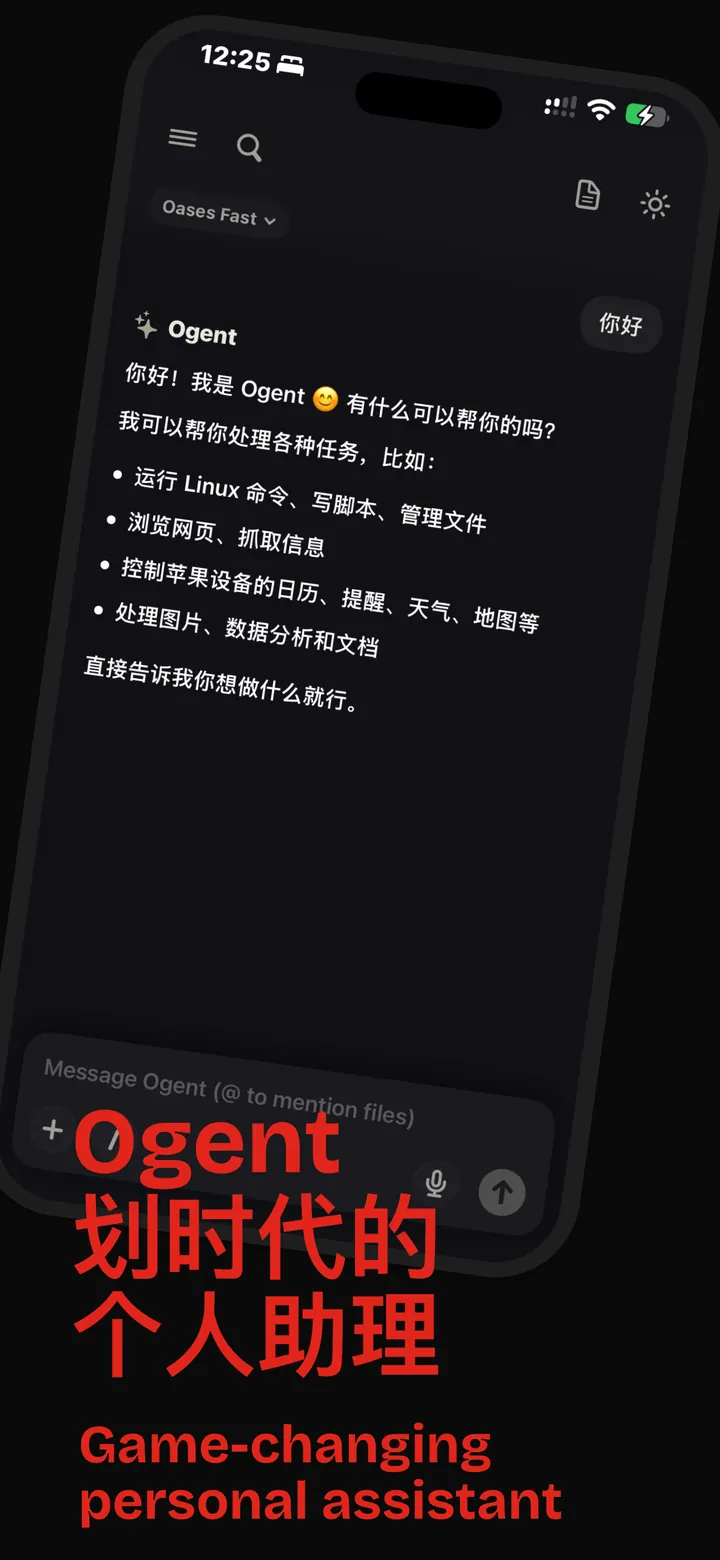 Oases Chat screenshot 4